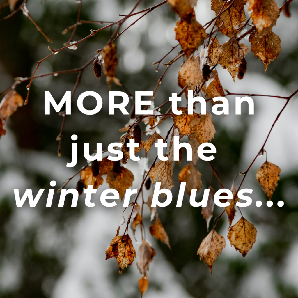 Winter Blues